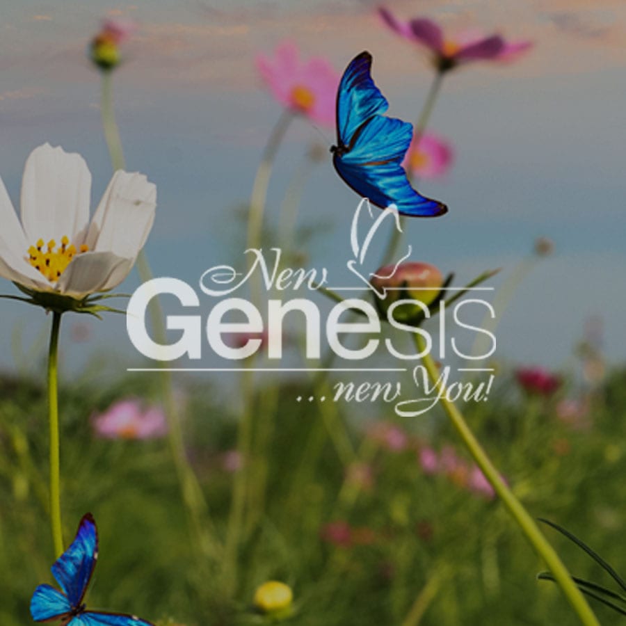 SEO and Email Marketing Services Rochester NY