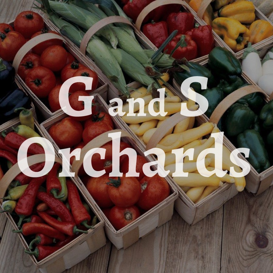 Rochester SEO and SMM Services